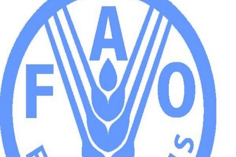 How to get Africa's youth into Agri-food systems