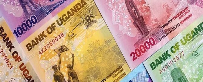 currency.ermcri