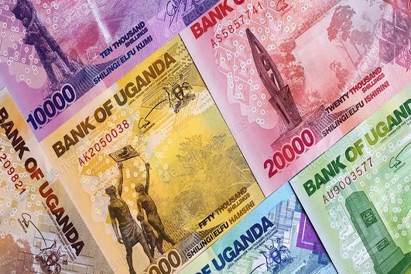 currency.ermcri