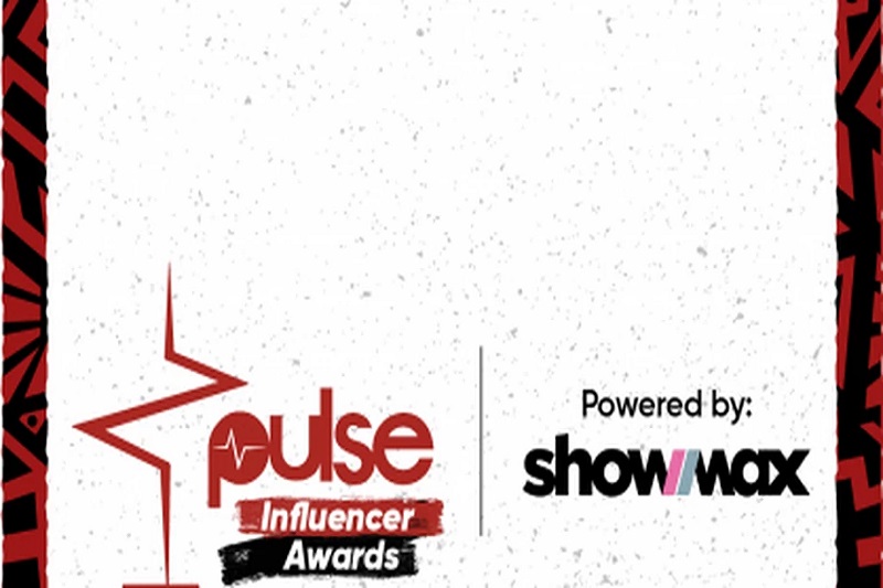 pulse.awards.ermcri