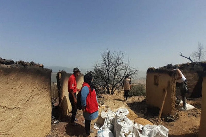 Wildfires and COVID-19 threaten lives in Algeria and Tunisiawildfires.covid19.ermcri