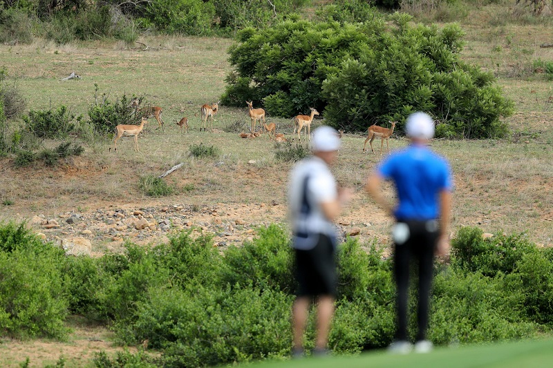 wildlife.ermcri
